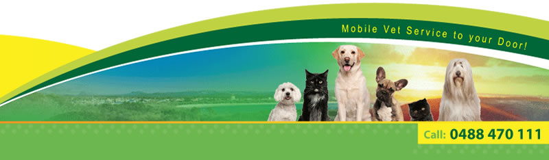 Walkabout Vet - Mobile Vet Service to your door!